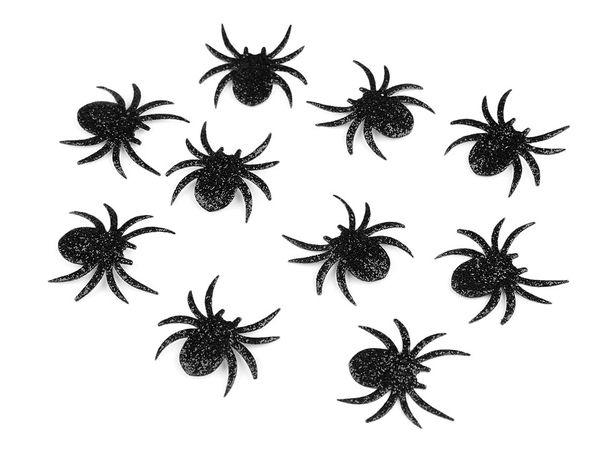 Aufbügler Spinne