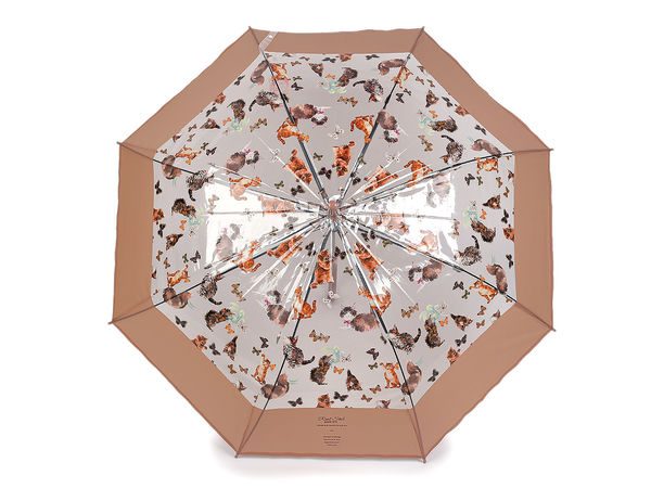 Transparenter Damen-Stockschirm mit Automatik - Verspieltes Katzen- und Schmetterlings-Design