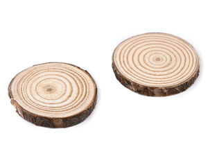 Naturholz-Astscheibe / Holzscheibe, Ø 2,5-4,5 cm