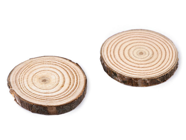 Naturholz-Astscheibe / Holzscheibe, Ø 2,5-4,5 cm