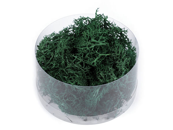 Konserviertes / stabilisiertes Naturmoos 20 g in einer Box