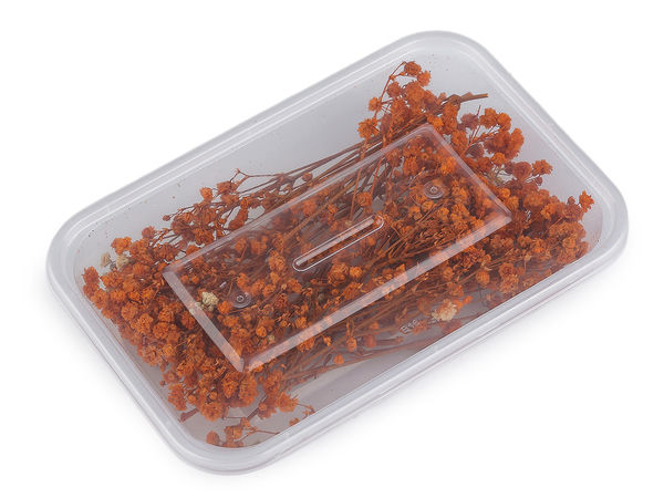 Getrocknetes / konserviertes Schleierkraut für Blumengestecke