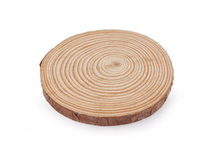 Unbehandelte Baumscheibe zum Bemalen und Basteln, Ø 12 cm