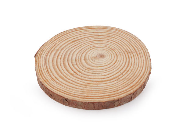 Unbehandelte Baumscheibe zum Bemalen und Basteln, Ø 12 cm
