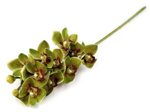 Premium künstliche Orchidee mit langem Stiel - Real-Touch exotische Kunstblume für hohe Vasen & Bodenvasen