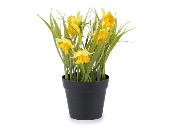 Künstliche Narzissen im Blumentopf