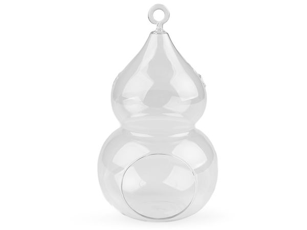 Premium-Aerium aus Klarglas - Terrarium-Behälter zum Aufhängen & Hinstellen (12x20 cm)