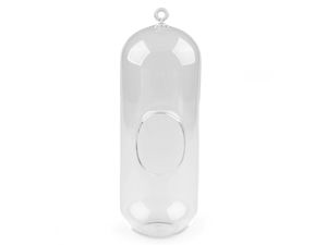Premium Glas-Aerarium Zylinder - 10,5 x 29 cm Glasterrarium zum Hängen und Aufstellen